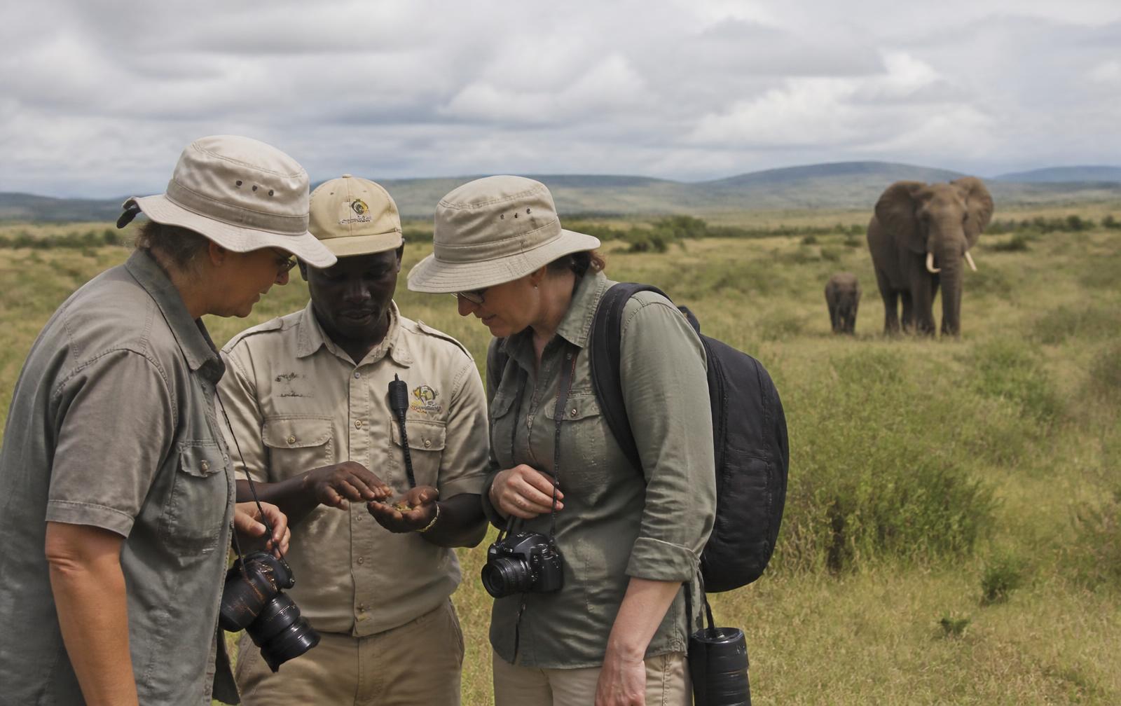 Local guides and travelers taking part in community conservation work