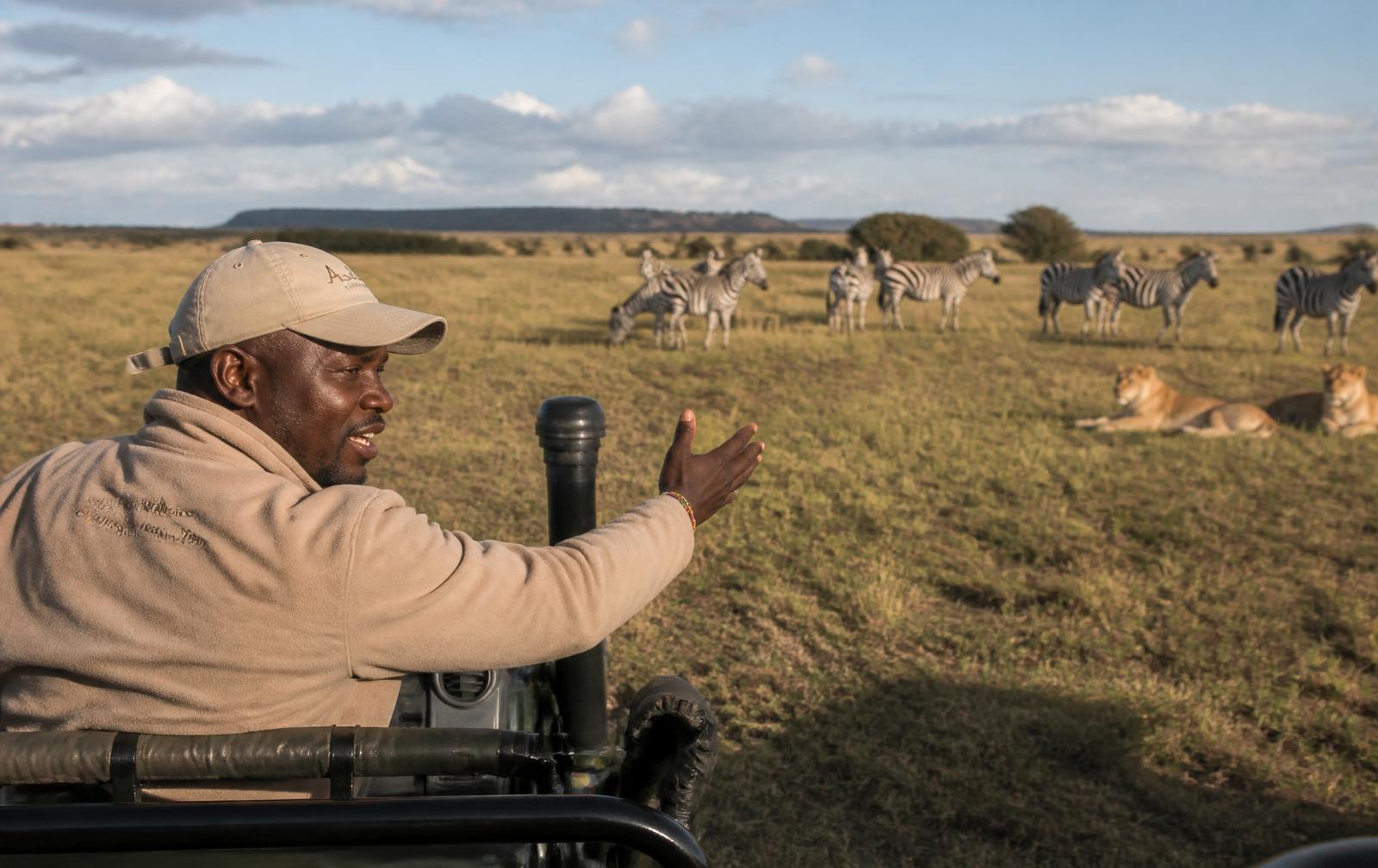 Safari guide leading travelers on a game drive in the Maasai Mara